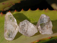 Natural Smokey Quartz Crystals x 35 From Brandberg, Namibia - Toprock Gemstones and Minerals 