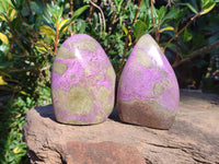 Polished Stichtite Standing Free Forms x 3 From Barberton, South Africa