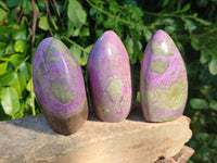 Polished Stichtite Standing Free Forms x 3 From Barberton, South Africa