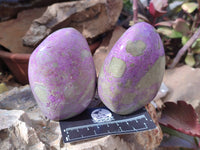 Polished Stichtite Standing Free Forms x 3 From Barberton, South Africa
