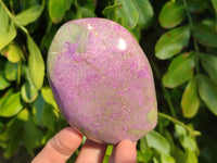 Polished Stichtite Standing Free Forms x 3 From Barberton, South Africa