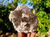 Natural Smokey Quartz Crystals x 3 From Malawi - Toprock Gemstones and Minerals 