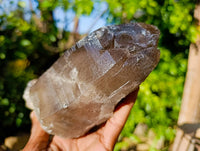 Natural Smokey Quartz Crystals x 3 From Malawi - Toprock Gemstones and Minerals 