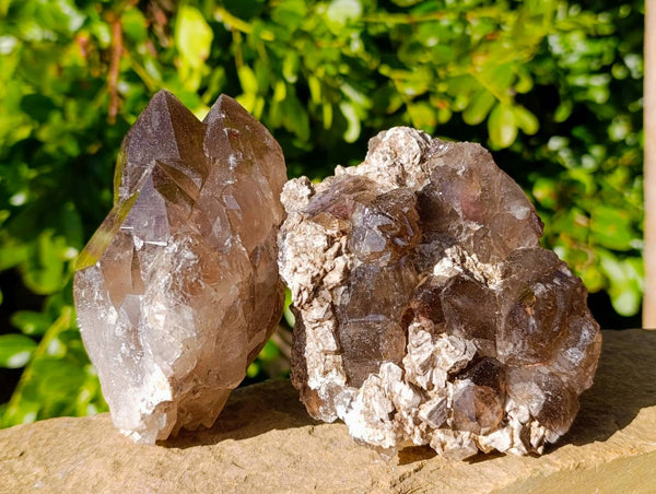Natural Smokey Quartz Crystals x 3 From Malawi