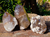 Natural Smokey Quartz Crystals x 3 From Malawi - Toprock Gemstones and Minerals 