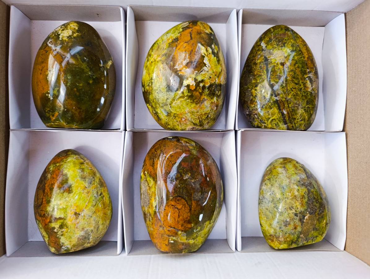 Polished Green Opal Standing Free Forms x 6 From Madagascar - Toprock Gemstones and Minerals 