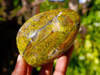 Polished Green Opal Standing Free Forms x 6 From Madagascar - Toprock Gemstones and Minerals 