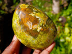 Polished Green Opal Standing Free Forms x 6 From Madagascar - Toprock Gemstones and Minerals 