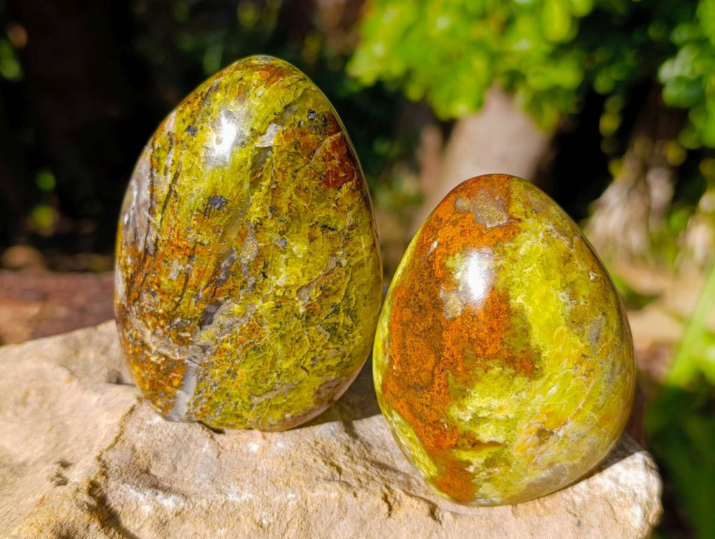 Polished Green Opal Standing Free Forms x 6 From Madagascar - Toprock Gemstones and Minerals 