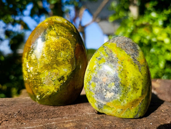 Polished Green Opal Standing Free Forms x 6 From Madagascar