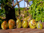 Polished Green Opal Standing Free Forms x 6 From Madagascar - Toprock Gemstones and Minerals 
