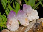 Natural Amethyst Spirit Quartz Clusters x 20 From South Africa - Toprock Gemstones and Minerals 
