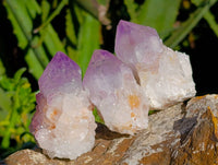 Natural Amethyst Spirit Quartz Clusters x 20 From South Africa