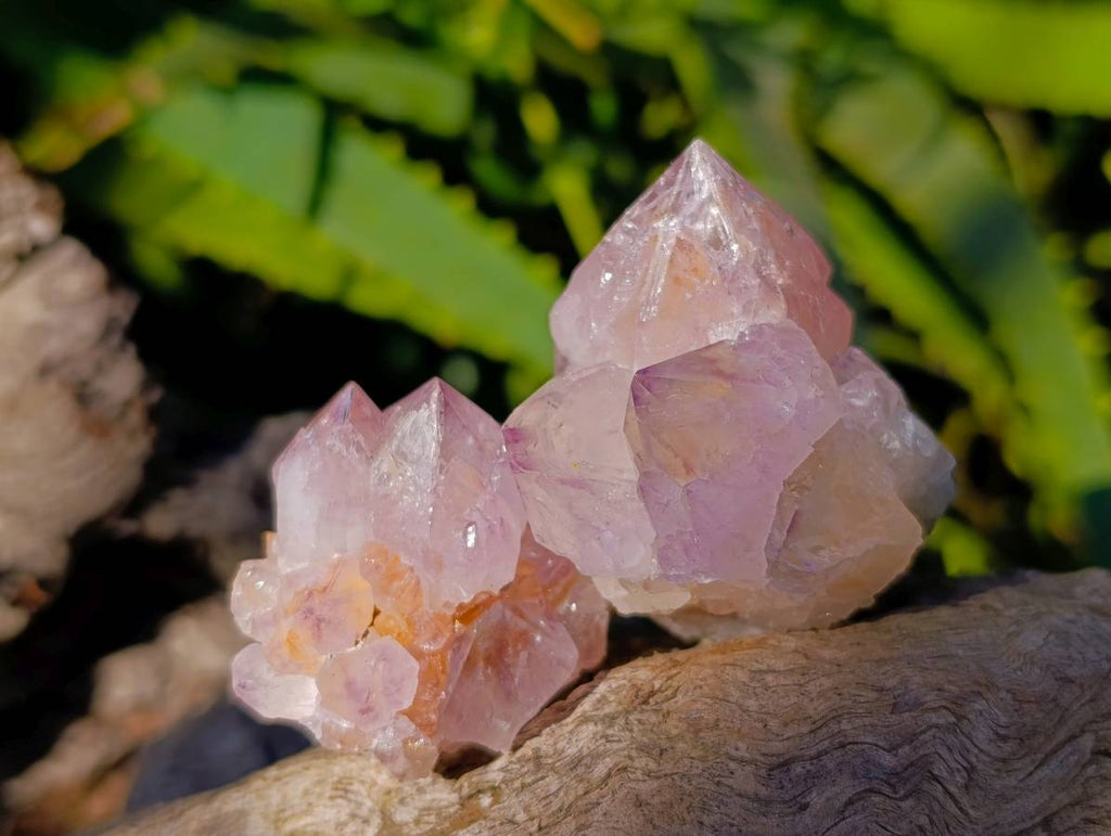 Natural Amethyst Spirit Quartz Clusters x 20 From South Africa - Toprock Gemstones and Minerals 