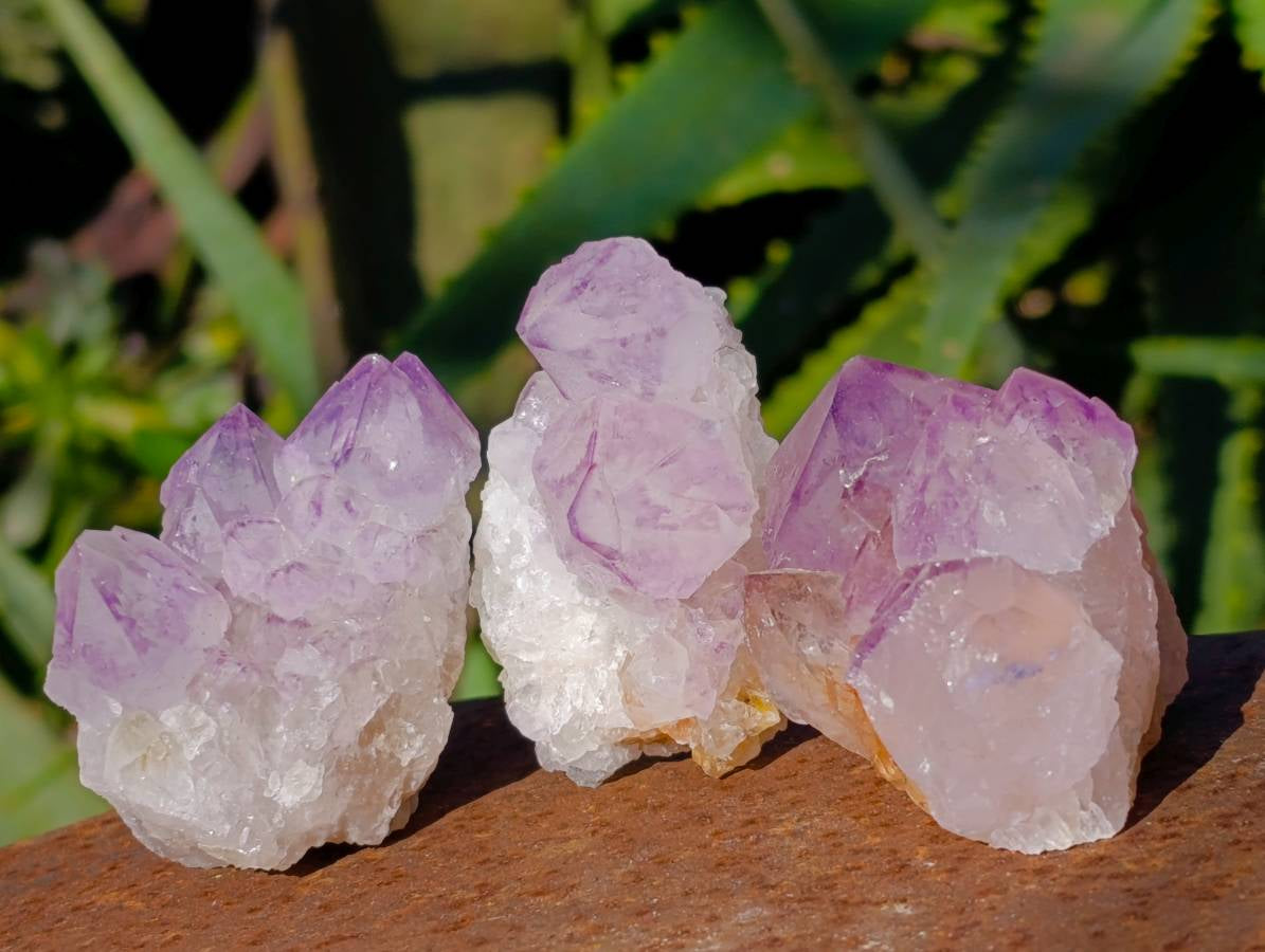 Natural Amethyst Spirit Quartz Clusters x 20 From South Africa - Toprock Gemstones and Minerals 