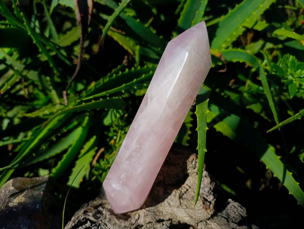 Polished Double Terminated Rose Quartz Points x 2 From Madagascar - Toprock Gemstones and Minerals 