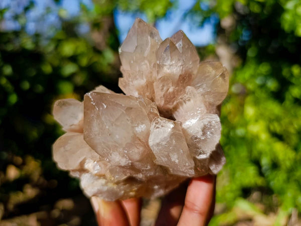 Natural Phantom Smokey Quartz Clusters x 4 From Luena, Congo
