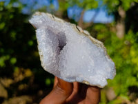 Natural Blue Lace Agate Geode Specimens x 24 From Malawi