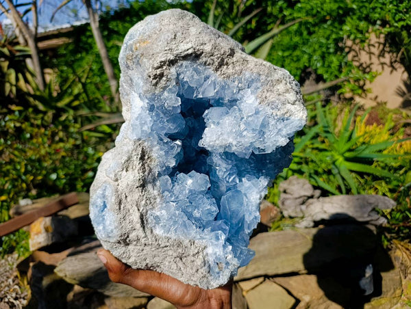 Natural Celestite Geode Specimen x 1 From Sakoany, Madagascar