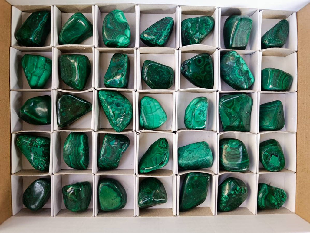 Polished Flower Banded Malachite Free Forms x 35 From Congo - Toprock Gemstones and Minerals 