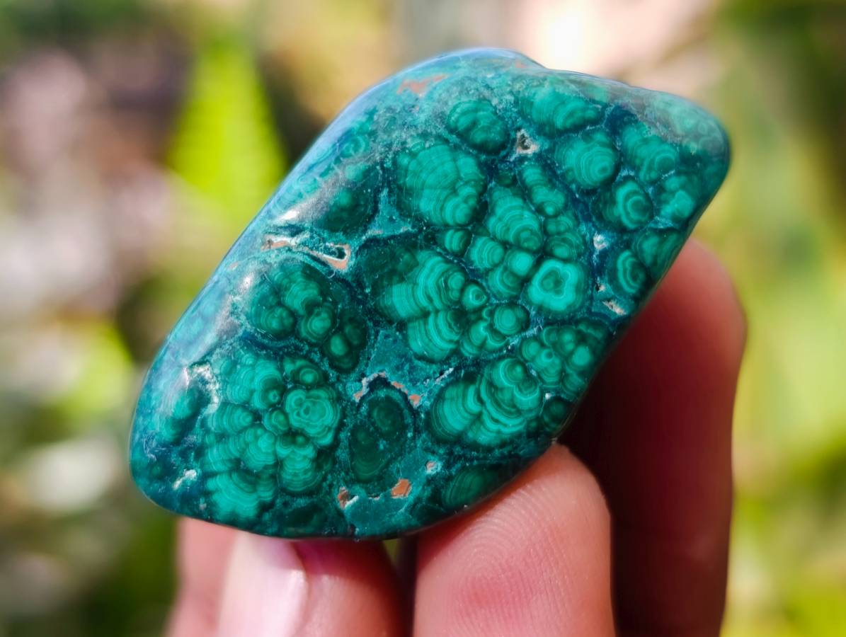 Polished Flower Banded Malachite Free Forms x 35 From Congo - Toprock Gemstones and Minerals 