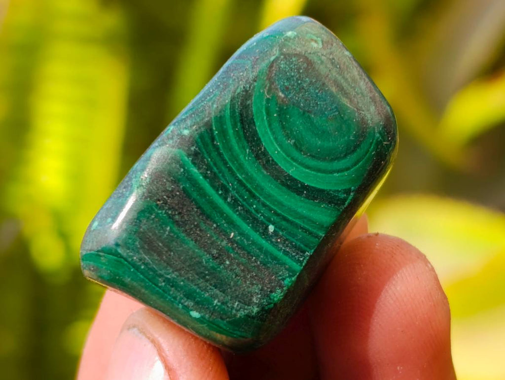 Polished Flower Banded Malachite Free Forms x 35 From Congo - Toprock Gemstones and Minerals 