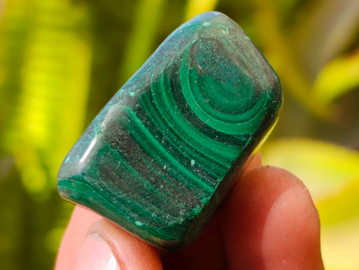 Polished Flower Banded Malachite Free Forms x 35 From Congo - Toprock Gemstones and Minerals 