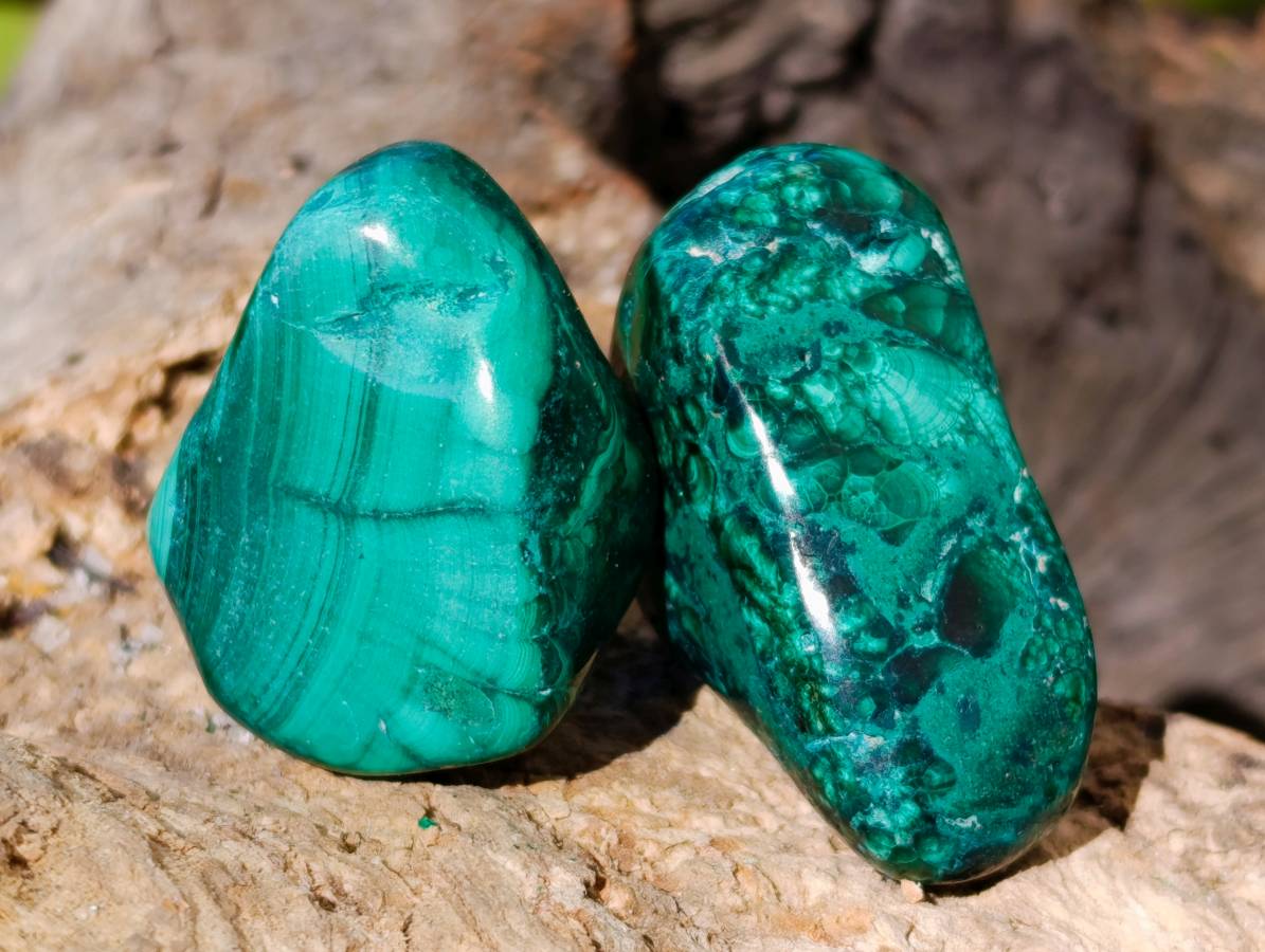 Polished Flower Banded Malachite Free Forms x 35 From Congo - Toprock Gemstones and Minerals 