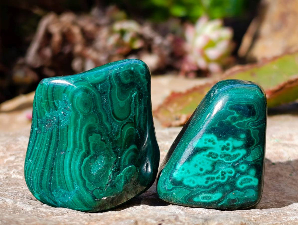 Polished Flower Banded Malachite Free Forms x 35 From Congo - Toprock Gemstones and Minerals 