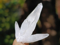 Natural Smokey Amethyst Quartz Crystals x 39 From Brandberg, Namibia - Toprock Gemstones and Minerals 