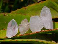 Natural Smokey Amethyst Quartz Crystals x 39 From Brandberg, Namibia - Toprock Gemstones and Minerals 