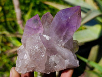 Natural Jacaranda Amethyst Clusters x 3 From Zambia - Toprock Gemstones and Minerals 