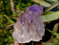 Natural Jacaranda Amethyst Clusters x 3 From Zambia - Toprock Gemstones and Minerals 