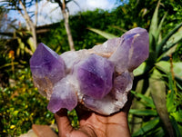 Natural Jacaranda Amethyst Clusters x 3 From Zambia - Toprock Gemstones and Minerals 