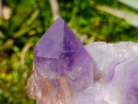 Natural Jacaranda Amethyst Clusters x 3 From Zambia - Toprock Gemstones and Minerals 
