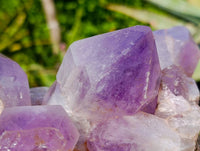Natural Jacaranda Amethyst Clusters x 3 From Zambia - Toprock Gemstones and Minerals 