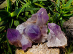 Natural Jacaranda Amethyst Clusters x 3 From Zambia - Toprock Gemstones and Minerals 