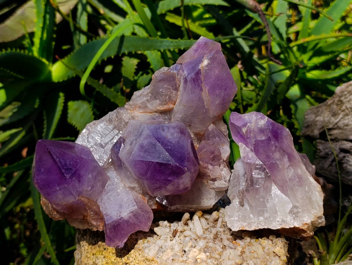 Natural Jacaranda Amethyst Clusters x 3 From Zambia - Toprock Gemstones and Minerals 