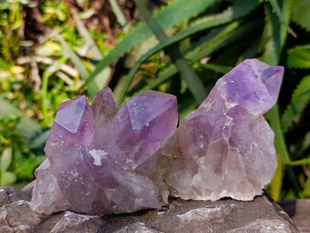 Natural Jacaranda Amethyst Clusters x 3 From Zambia - Toprock Gemstones and Minerals 