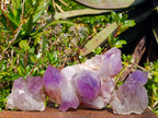 Natural Jacaranda Amethyst Clusters x 3 From Zambia - Toprock Gemstones and Minerals 