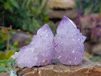 Natural Amethyst Spirit Quartz Clusters x 12 From South Africa