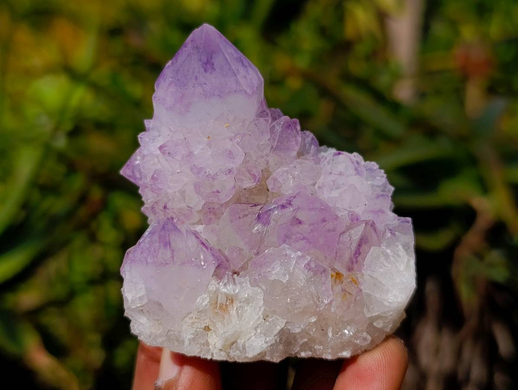 Natural Amethyst Spirit Quartz Clusters x 12 From South Africa - Toprock Gemstones and Minerals 