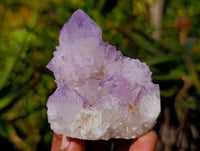 Natural Amethyst Spirit Quartz Clusters x 12 From South Africa