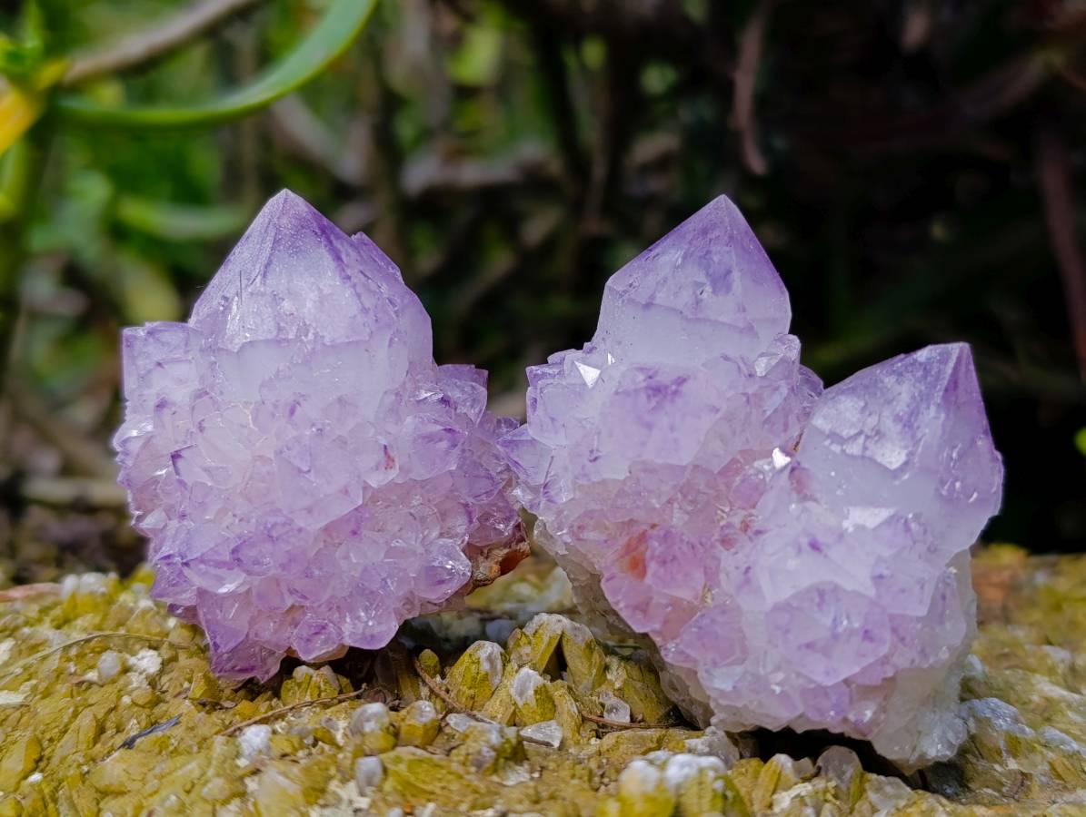 Natural Amethyst Spirit Quartz Clusters x 12 From South Africa - Toprock Gemstones and Minerals 