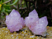 Natural Amethyst Spirit Quartz Clusters x 12 From South Africa
