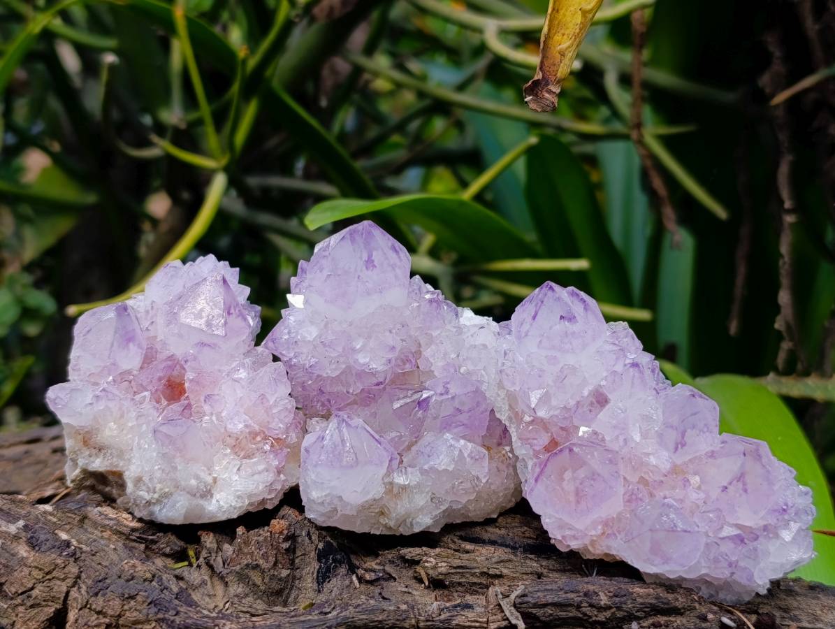 Natural Amethyst Spirit Quartz Clusters x 12 From South Africa - Toprock Gemstones and Minerals 