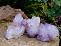 Natural Amethyst Spirit Quartz Clusters x 12 From South Africa