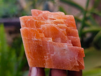 Natural Sunset Orange Calcite Specimens x 24 From Spitzkop, Namibia - Toprock Gemstones and Minerals 