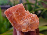 Natural Sunset Orange Calcite Specimens x 24 From Spitzkop, Namibia - Toprock Gemstones and Minerals 
