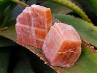 Natural Sunset Orange Calcite Specimens x 24 From Spitzkop, Namibia - Toprock Gemstones and Minerals 